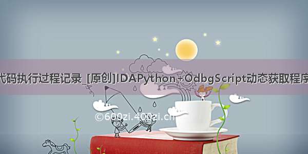 python代码执行过程记录_[原创]IDAPython+OdbgScript动态获取程序执行流程