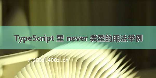 TypeScript 里 never 类型的用法举例