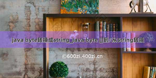 java byte转换成string_Java byte []到/从String转换