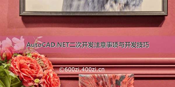 AutoCAD.NET二次开发注意事项与开发技巧