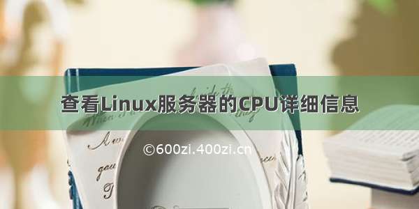 查看Linux服务器的CPU详细信息