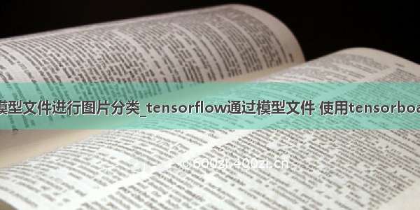 python加载模型文件进行图片分类_tensorflow通过模型文件 使用tensorboard查看其模型