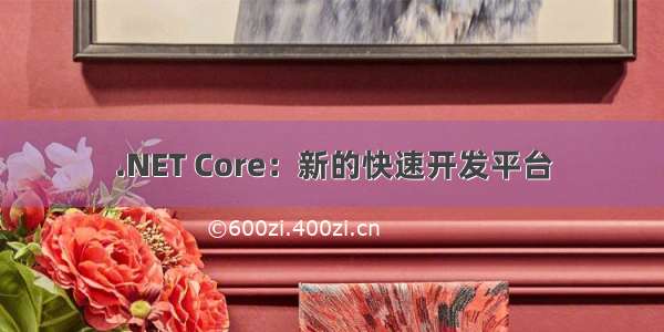 .NET Core：新的快速开发平台