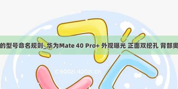 华为的型号命名规则_华为Mate 40 Pro+ 外观曝光 正面双挖孔 背部奥利奥