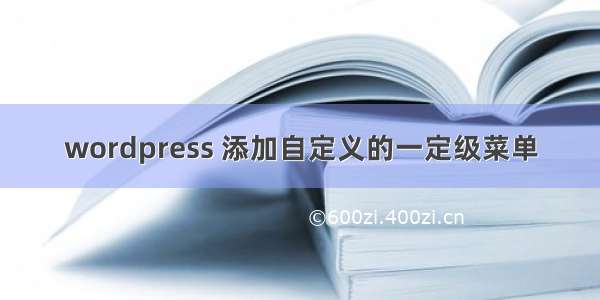 wordpress 添加自定义的一定级菜单