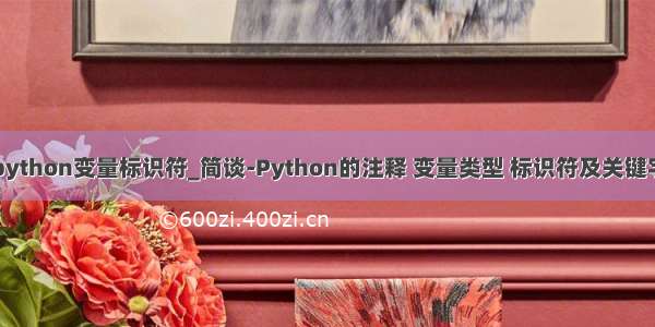 python变量标识符_简谈-Python的注释 变量类型 标识符及关键字