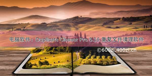 电脑软件：Duplicate Cleaner Pro 5.16 重复文件清理软件