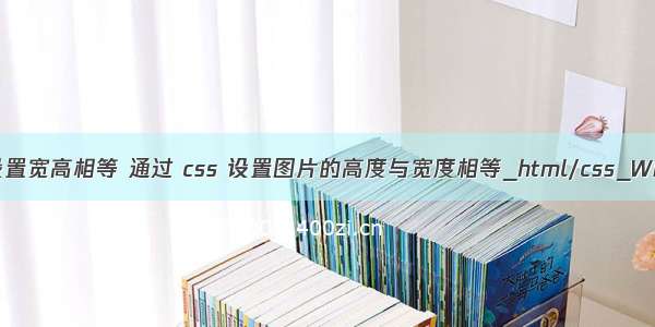 html css设置宽高相等 通过 css 设置图片的高度与宽度相等_html/css_WEB-ITnose