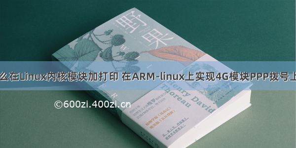 怎么在Linux内核模块加打印 在ARM-linux上实现4G模块PPP拨号上网