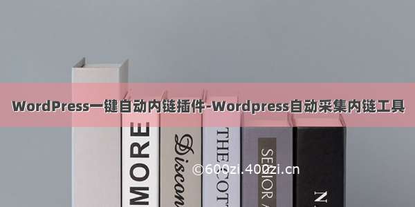 WordPress一键自动内链插件-Wordpress自动采集内链工具