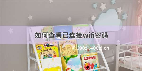 如何查看已连接wifi密码