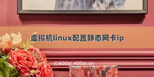 虚拟机linux配置静态网卡ip