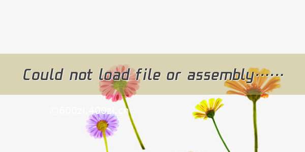 Could not load file or assembly……