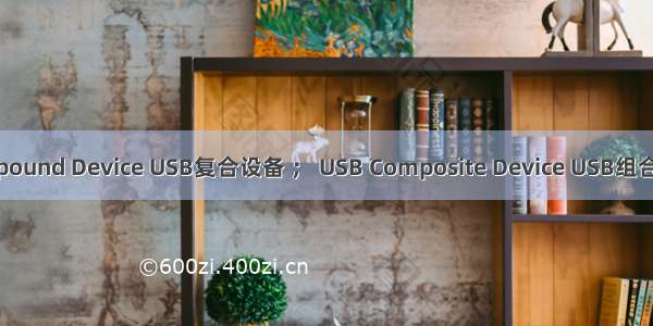 USB Compound Device USB复合设备 ； USB Composite Device USB组合设备【转】