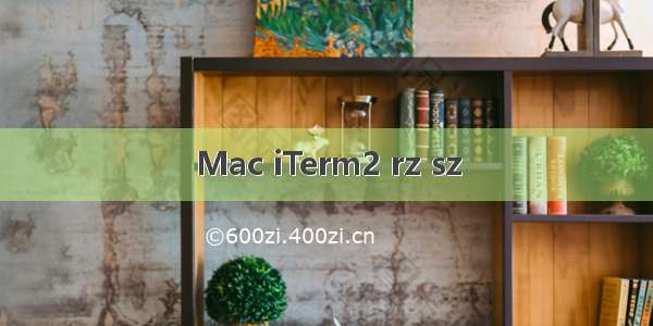 Mac iTerm2 rz sz