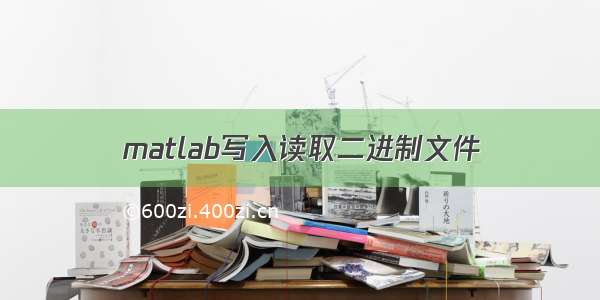 matlab写入读取二进制文件