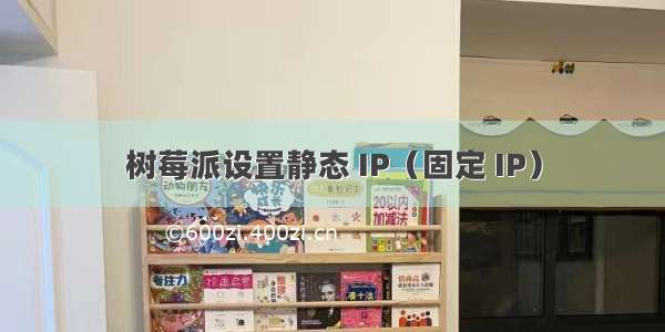 树莓派设置静态 IP（固定 IP）