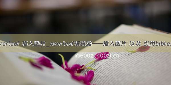 overleaf 插入图片_overleaf编辑器——插入图片 以及 引用bibtex