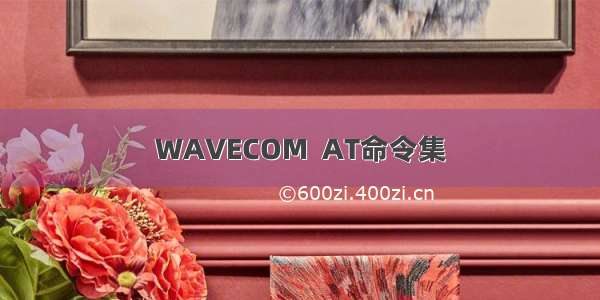 WAVECOM  AT命令集