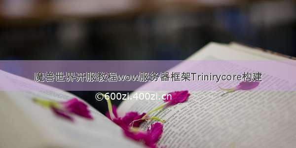 魔兽世界开服教程wow服务器框架Trinirycore构建