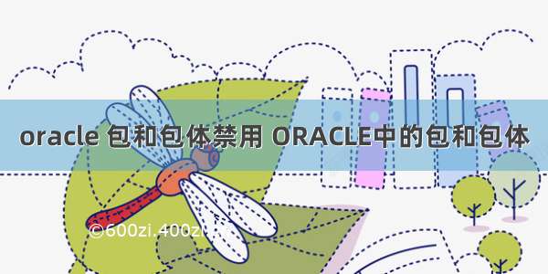 oracle 包和包体禁用 ORACLE中的包和包体