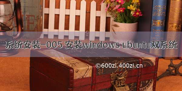 系统安装-005 安装windows ubuntu双系统