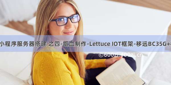 树莓派微信小程序服务器搭建 之四-呕血制作-Lettuce IOT框架-移远BC35G+树莓派+华为