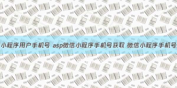 asp获取微信小程序用户手机号 asp微信小程序手机号获取 微信小程序手机号asp获取方法