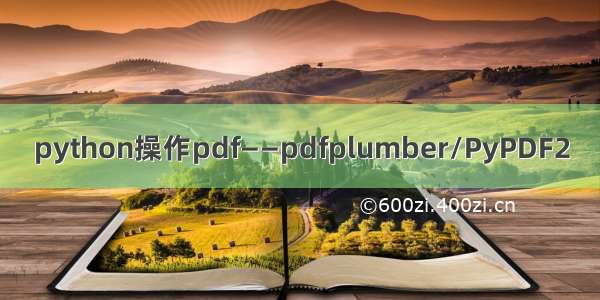 python操作pdf——pdfplumber/PyPDF2