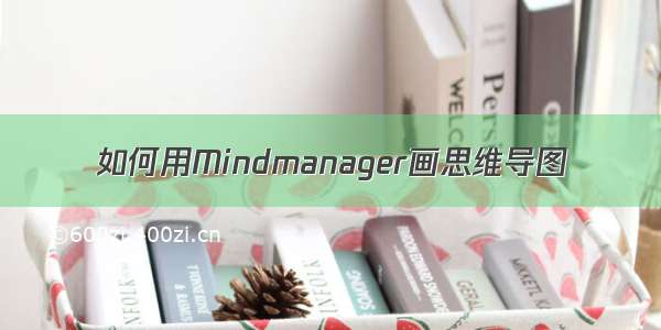 如何用Mindmanager画思维导图