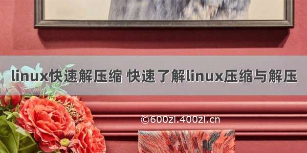 linux快速解压缩 快速了解linux压缩与解压