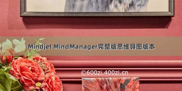 Mindjet MindManager完整版思维导图版本