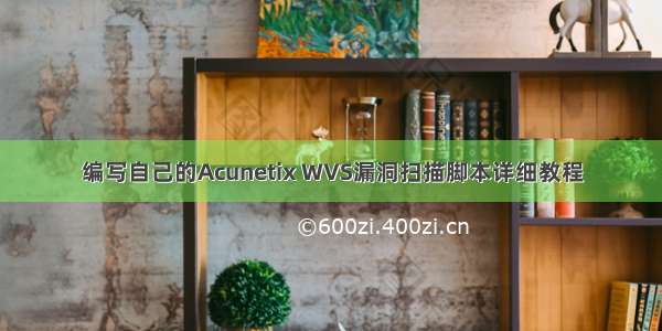 编写自己的Acunetix WVS漏洞扫描脚本详细教程