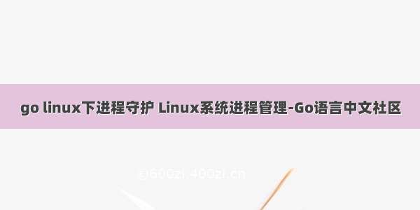 go linux下进程守护 Linux系统进程管理-Go语言中文社区