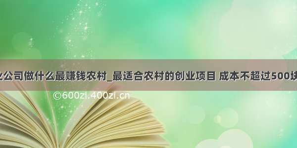 python创业公司做什么最赚钱农村_最适合农村的创业项目 成本不超过500块 做好就能快