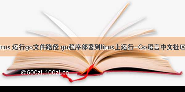 linux 运行go文件路径 go程序部署到linux上运行-Go语言中文社区