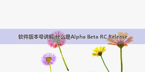 软件版本号讲解:什么是Alpha Beta RC Release