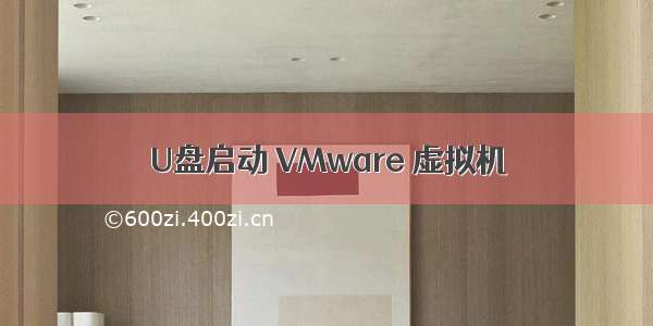 U盘启动 VMware 虚拟机