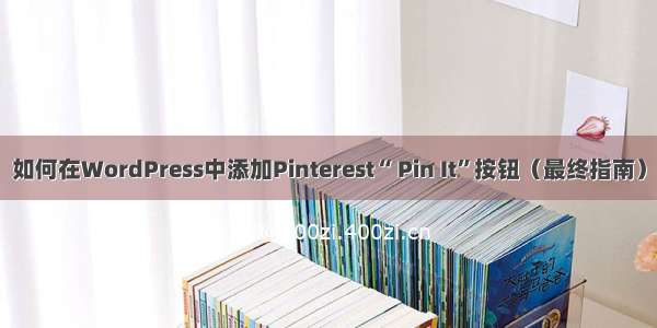 如何在WordPress中添加Pinterest“ Pin It”按钮（最终指南）