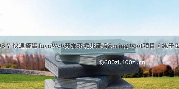 CentOS 7 快速搭建JavaWeb开发环境并部署Spring boot项目（纯干货 详细）