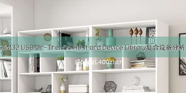 STM32 USB On-The-Go Host and Device Library复合设备分析