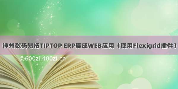 神州数码易拓TIPTOP ERP集成WEB应用（使用Flexigrid插件）