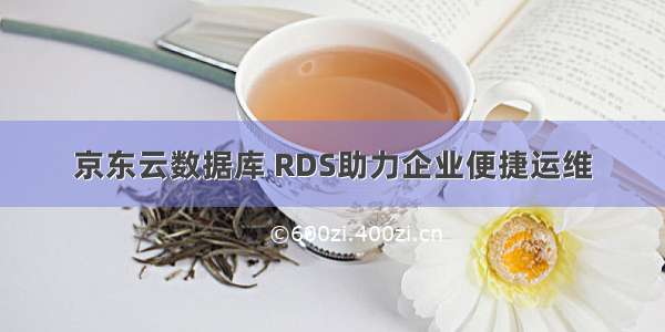 京东云数据库 RDS助力企业便捷运维