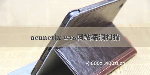 acunetix wvs网站漏洞扫描