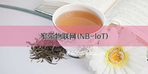 窄带物联网(NB-IoT)