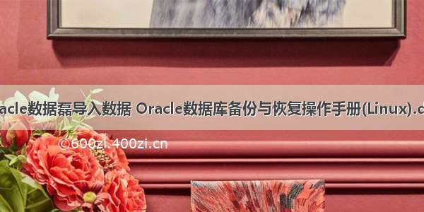 oracle数据磊导入数据 Oracle数据库备份与恢复操作手册(Linux).doc