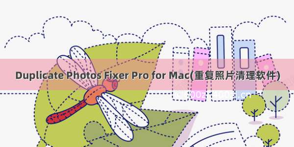 Duplicate Photos Fixer Pro for Mac(重复照片清理软件)