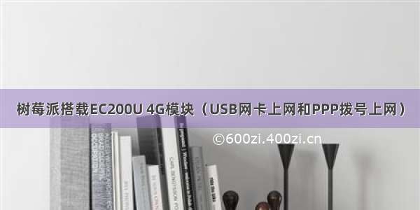 树莓派搭载EC200U 4G模块（USB网卡上网和PPP拨号上网）