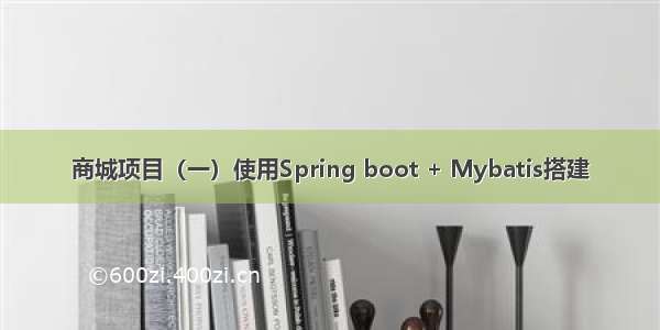 商城项目（一）使用Spring boot + Mybatis搭建