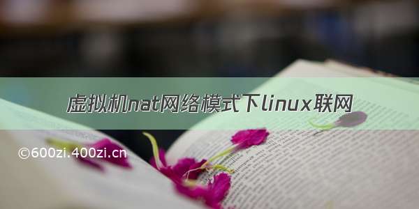 虚拟机nat网络模式下linux联网